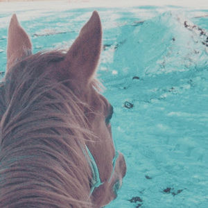 Meet your Posher, Hadley